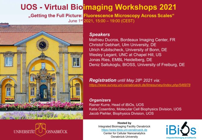 Bild "Home/Virtual Bioimaging Workshops 2021:Flyer_iBiOs_Workshop_Imaging_Across_Scales_registration.jpg"