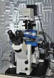 Bild "Light Microscopy/Olympus TIRF 1-Line with JPK AFM:TIRF_AFM.jpg"
